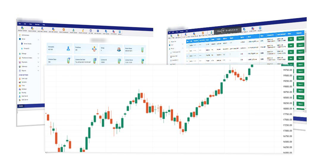 Professional technical analysis in Trade Master 9 allows examining stock and currency quotes from all angles