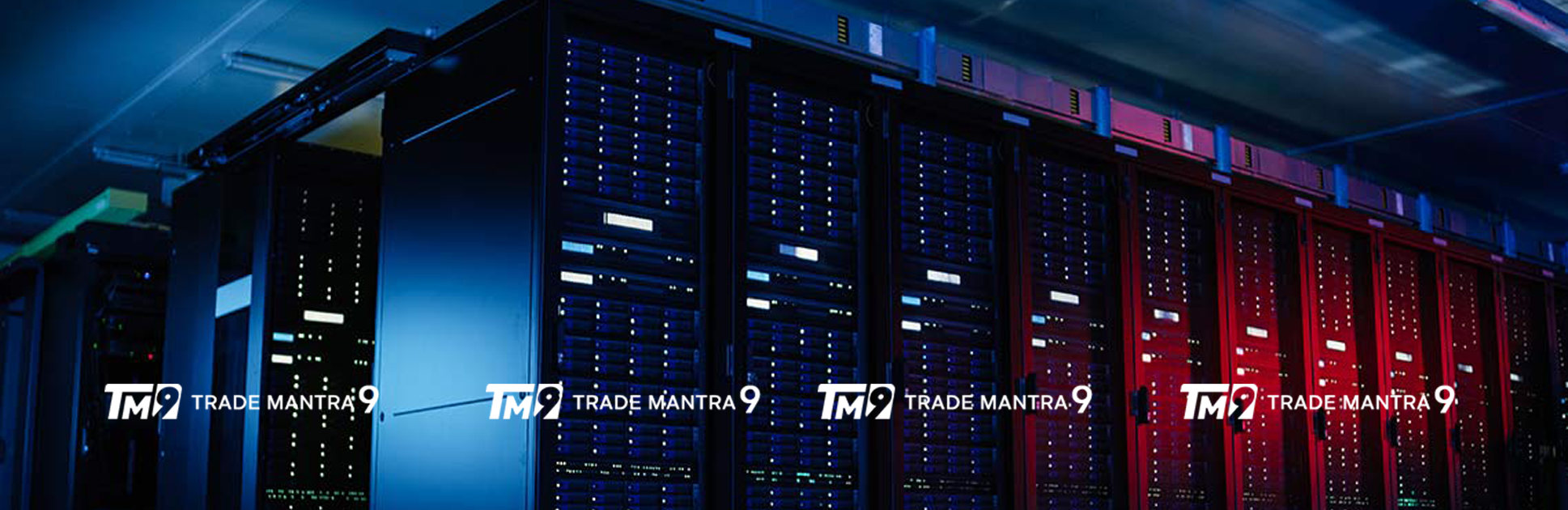 forex Trade Master 9 for Brokers